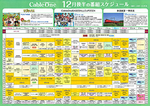 ケーブルワン武雄・大町・江北_売り出しチラシ