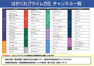 はがくれテレビ塩田_チラシ